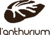 Anthurium